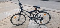 Fahrrad Focus Top Zustand Baden-Württemberg - Biberach an der Riß Vorschau