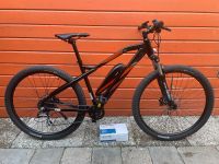 NEUES 29 Zoll E-Bike Mountainbike Graveler 36Volt-NEU Wandsbek - Hamburg Jenfeld Vorschau