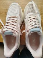 Crane Sport Schuhe/Sneaker gr.40 Nordrhein-Westfalen - Gangelt Vorschau