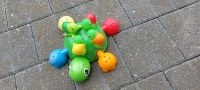 Tomy Toomies Turtle Tots Nordrhein-Westfalen - Herzebrock-Clarholz Vorschau