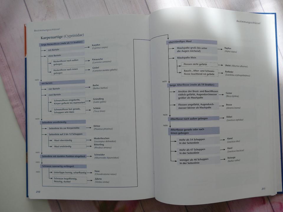 Arbeitsbuch, Fischer, Prüfung, 2015, Online-Programm, für 13,-€ in Leipzig