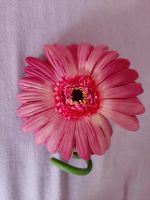 Kunstblume Gerbera rosa pink flexibler Stiel Blume Dortmund - Innenstadt-West Vorschau