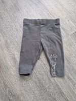 Graue Leggings Giraffe Gr. 50/56 Nordrhein-Westfalen - Elsdorf Vorschau