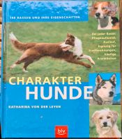 Charakter Hunde Saarland - Schwalbach Vorschau