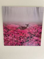 Robert Jahns Pink Deer Düsseldorf - Angermund Vorschau