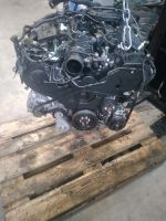 Motor  Land Rover Sport  306DT 258PS  E6 29tkm  3.0d  komplett Berlin - Spandau Vorschau