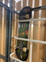 Skateboard  neu Nordrhein-Westfalen - Paderborn Vorschau