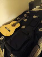 Akustik Gitarre mit passenden Rucksack Sachsen-Anhalt - Aken Vorschau