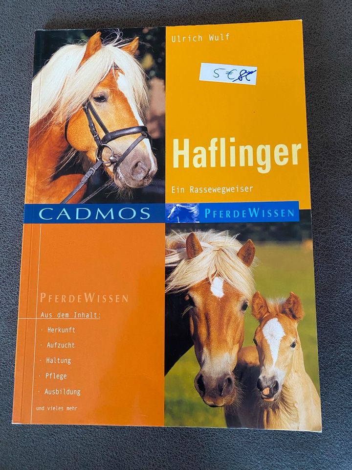 Pferdebuch Buch über Haflinger in Bodenwöhr