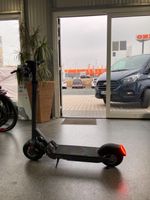 Egret Pro E-Scooter, streetlegal, bis 80km Reichw, 27 NM mit 500W Bayern - Forchheim Vorschau