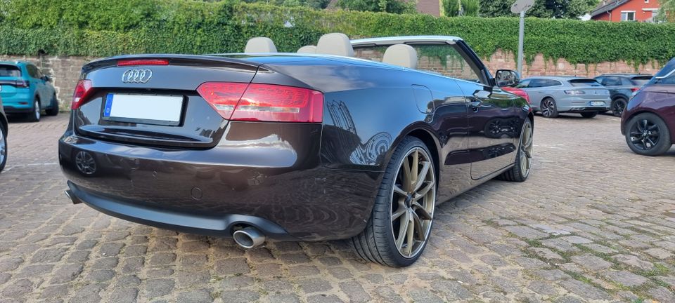 Audi A5 3.0 TDI V6 Cabrio - Bang & Olufsen - 20 Zoll in Eberbach