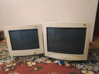 PC Monitor Röhre 17" VGA Vintage Retro Sachsen - Grimma Vorschau