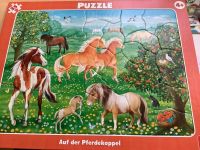 Puzzle Pferde Pferdepuzzle NEU 35 Teile ASS 4+ Sachsen - Markkleeberg Vorschau