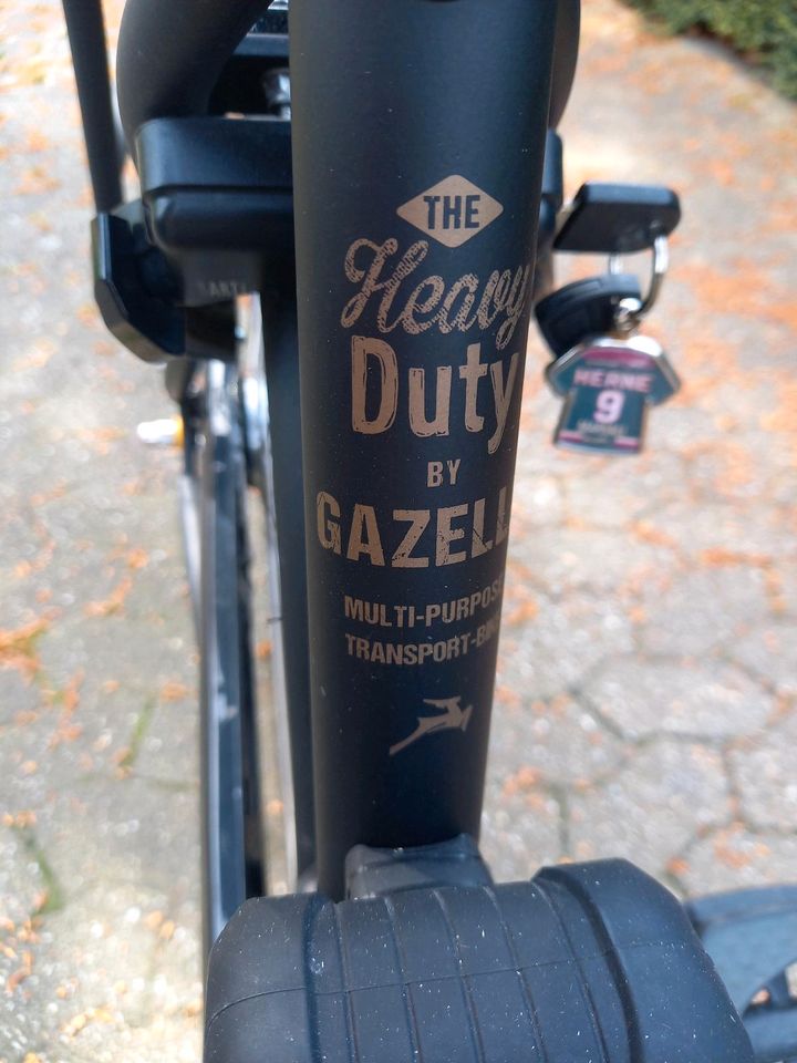 Gazelle Heavy Duty - Reifen & Bremsen neu + Qeridoo in Kerken