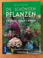 Die schönsten Pflanzen für Zimmer, Balkon & Terrasse, Buch Bayern - Essenbach Vorschau