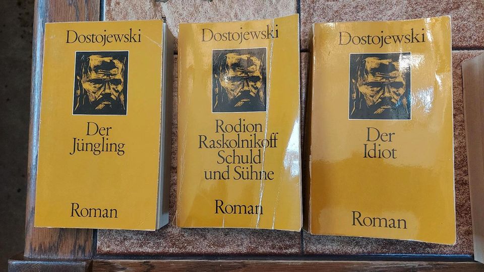 Dostojewski Roman/Bücher Konvolut in Kulmbach
