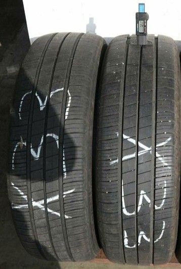 2 Sommerreifen 195 55 R20 95H Goodyear Gebraucht X33 in Walluf