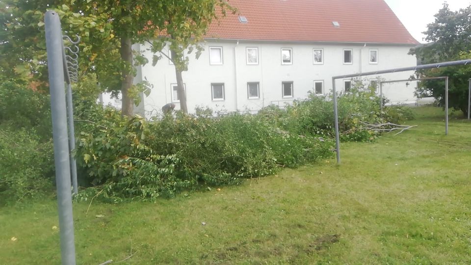 Hecke Entfernen in Sachsenburg