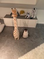 Giraffe & Pinguin Hessen - Wiesbaden Vorschau