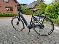 E-Bike Gazelle Arroyo C8 HMB Elite Niedersachsen - Westerstede Vorschau