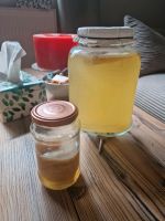 Kombucha Kultur | Scoby | Teepilz zum fermentieren Bochum - Bochum-Ost Vorschau