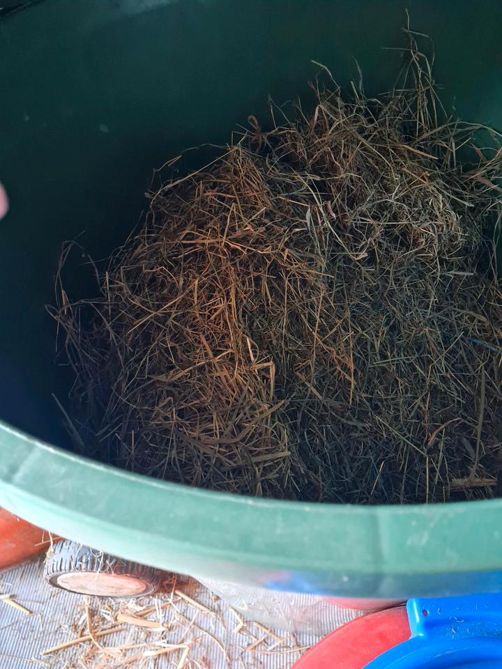 Stall Käfig für Hasen Meerschweinchen mit Zubehör in Nörten-Hardenberg
