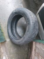 225/55 R17 97H Winterreifen 1 Stück Marke Dunlop Wandsbek - Gartenstadt Vorschau