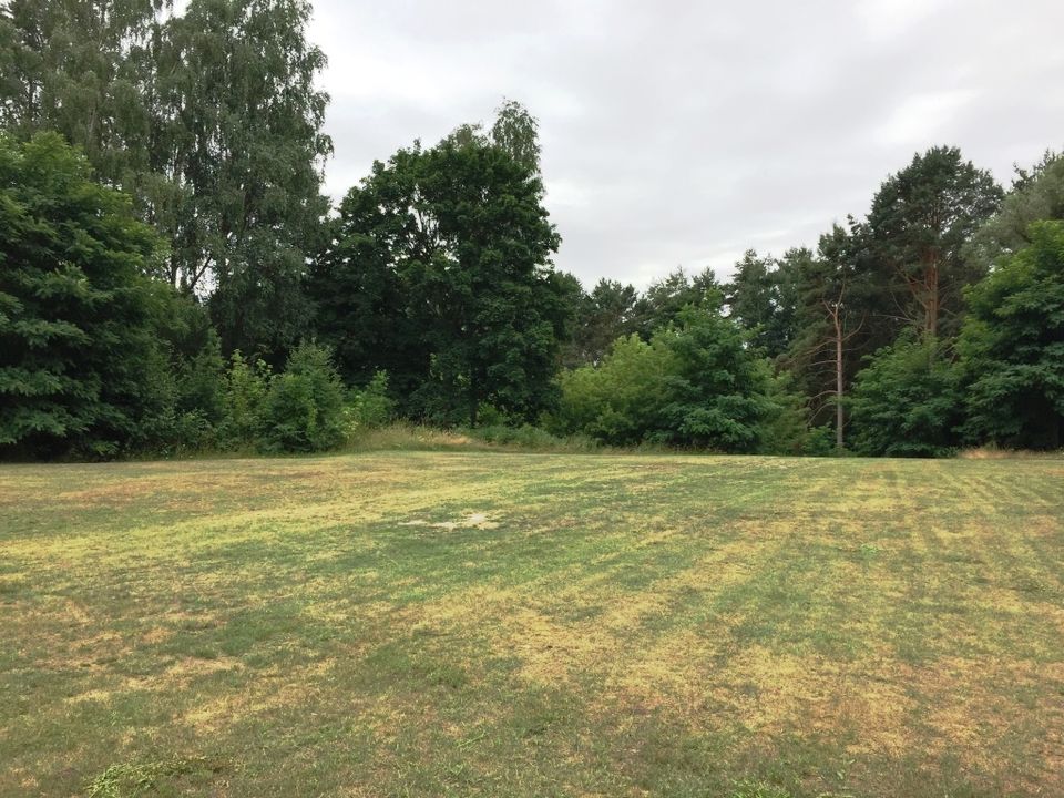 Attraktives Gewerbegrundstück in Marzahn-Friedrichsfelde in Berlin