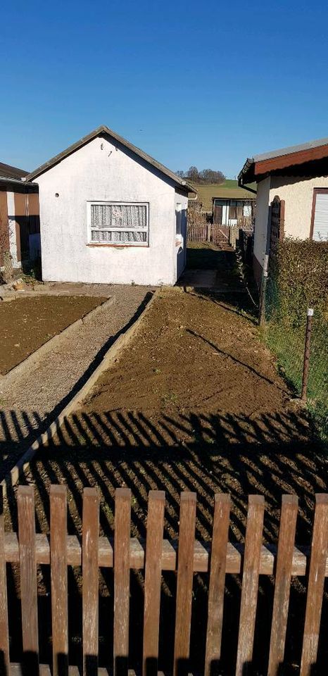 Garten / Gärten zur Pacht in Kleingartenanlage in Eppendorf in Sachsen