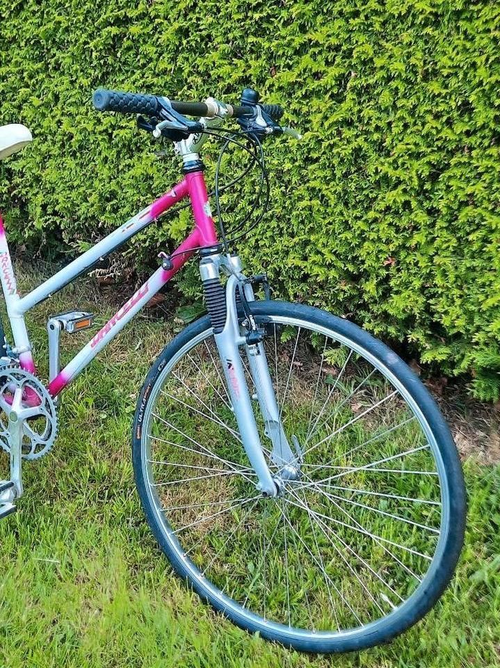 Damen Fahrrad 28 Zoll 12-Gang Shimano Schaltung in Brannenburg