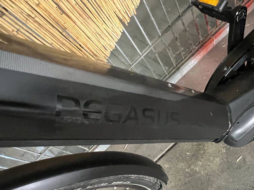 PEGASUS Opero EVO 10 - City E-Bike in Berlin
