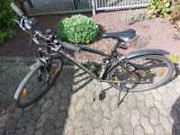 Fahrrad SPECIALIZED Crosstrail EN 14764 kein ebike Rheinland-Pfalz - Stromberg Vorschau