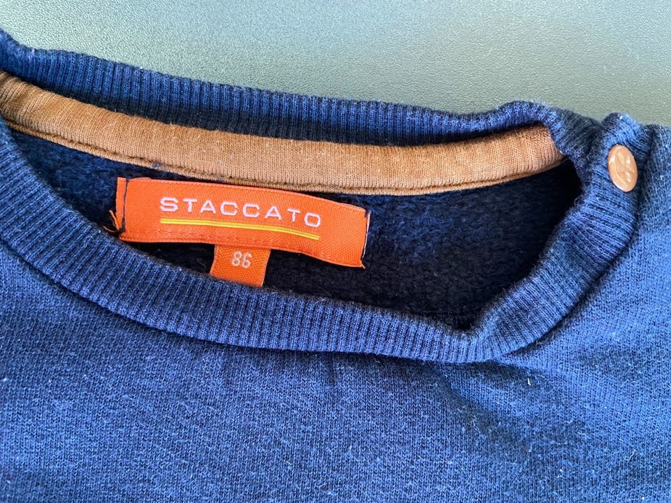 Staccato Pullover Gr. 86 in Bredstedt