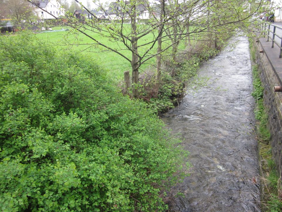 Fischereiverpachtung, Bachverpachtung, Angeln, Fischen in Bad Berleburg