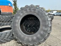 Reifen 650/85R38 Trelleborg TM 900 35% Profil 20mm Mecklenburg-Vorpommern - Neubrandenburg Vorschau