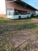 Stellplatz unter einem geschützten Vordach frei Rheinland-Pfalz - Eich Vorschau