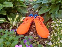 Fila Fußball Fussball Stollenschuhe neon orange Gr. 38 Brandenburg - Fürstenwalde (Spree) Vorschau