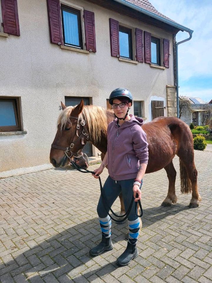 Biete Berittplätze Reitunterricht für 2024 in Pfalzgrafenweiler