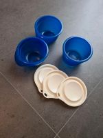 3 Tupperware Schüsseln 650ml Nordrhein-Westfalen - Horn-Bad Meinberg Vorschau