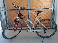 Trekkingrad Rixe Cross XL  5.0  28 Zoll Damen/Mädchen/Jugend Bayern - Kipfenberg Vorschau