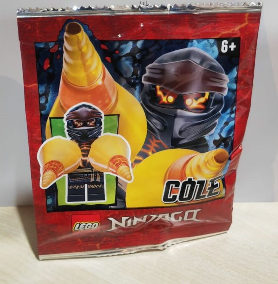 Div. Lego Ninjago Figuren Polybag in Oldenburg