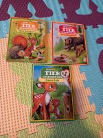 Kinderbücher Pappbpcher Meine Mini Tiergeschichten Berlin - Reinickendorf Vorschau