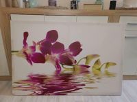 großes Bild Leinwand Orchidee Blume pink rosa  relax Wellness Thüringen - Niederdorla Vorschau