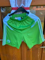 ♥️♥️ Wolfsburg Kinder Sporthose kurz gr 164 Niedersachsen - Westoverledingen Vorschau