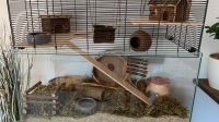 Nagarium/Käfig für Kleintiere (Mäuse/Hamster) inkl. Zubehör Hessen - Gießen Vorschau