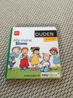 Kinderbuch Alle meine Sinne Kreis Ostholstein - Eutin Vorschau