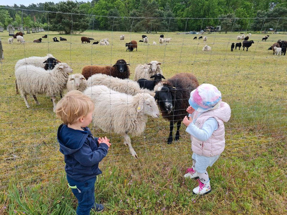 Kindertagespflege/ Tagesmutter freie Plätze in Kloster Lehnin