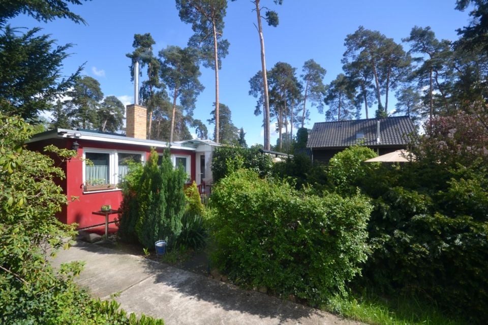 Sonniges Baugrundstück mit Bungalow im Berliner Speckgürtel in Berlin