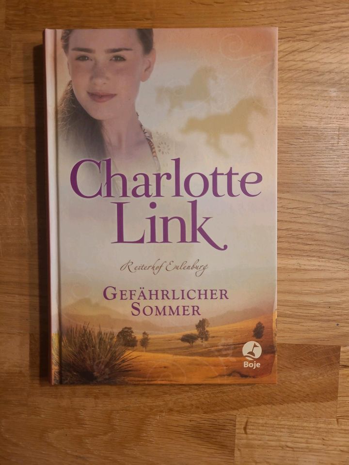 Jugendbuch * Reiterhof Eulenburg von Charlotte Link * Pferdebuch in Schlanstedt