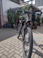 Fahrrad The Rock Machine inkl. Maxxis Reifen Sachsen-Anhalt - Wernigerode Vorschau